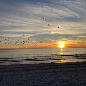 Meet your Posher, Brent